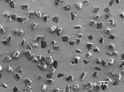 grundlagen-produktsysteme-cct_plating-diagrip_draufsicht