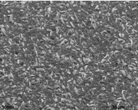 grundlagen-produktsysteme-cct_plating-oberflaechenschliff-sic