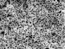 grundlagen-produktsysteme-cct_plating-querschliff-chemisch_nickel